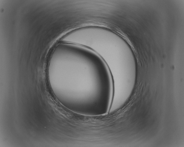 X0000083030387200702020923