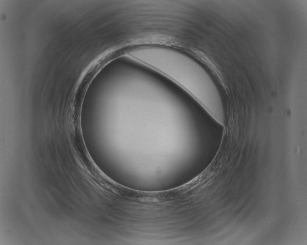 X0000083030392200702020923