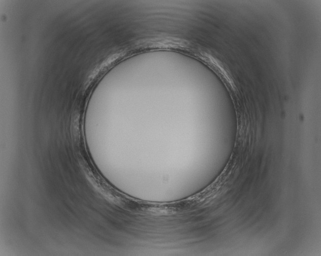 X0000083030394200702020923