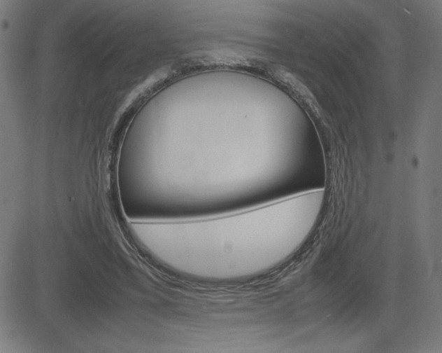X0000083030395200702020923