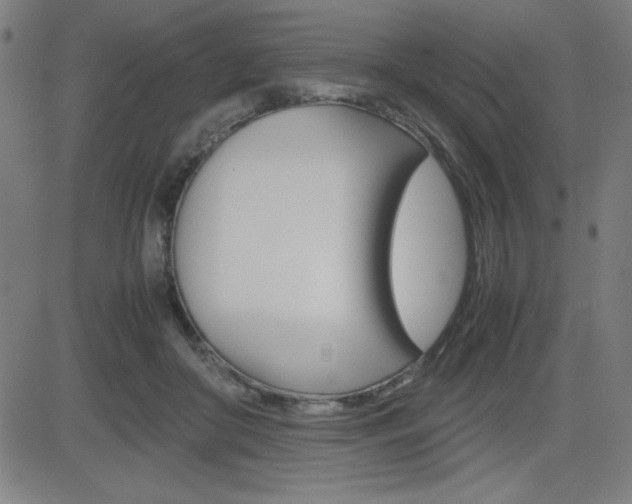 X0000083030410200702020923