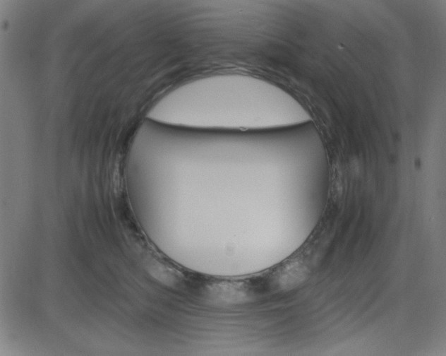 X0000083030422200702020922