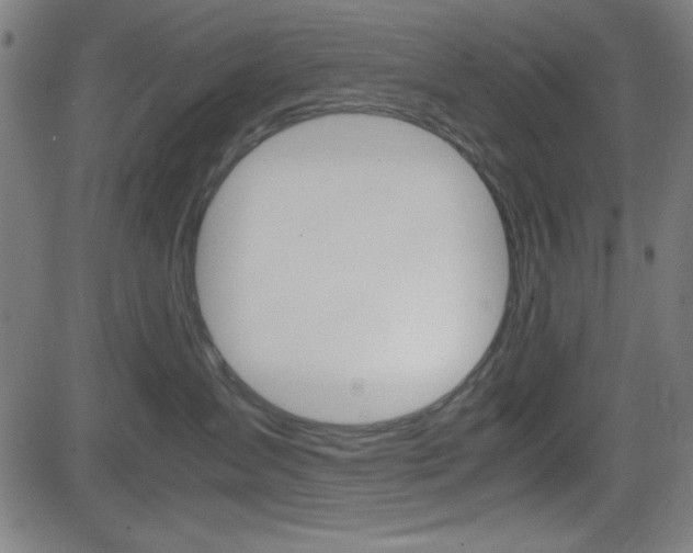 X0000083030431200702020922