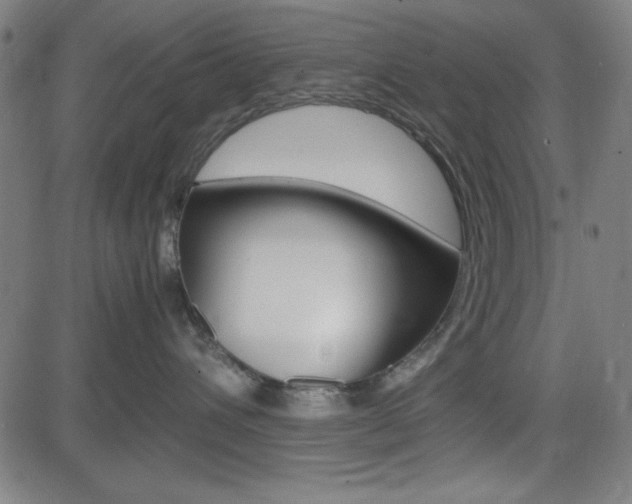 X0000083030432200702020922