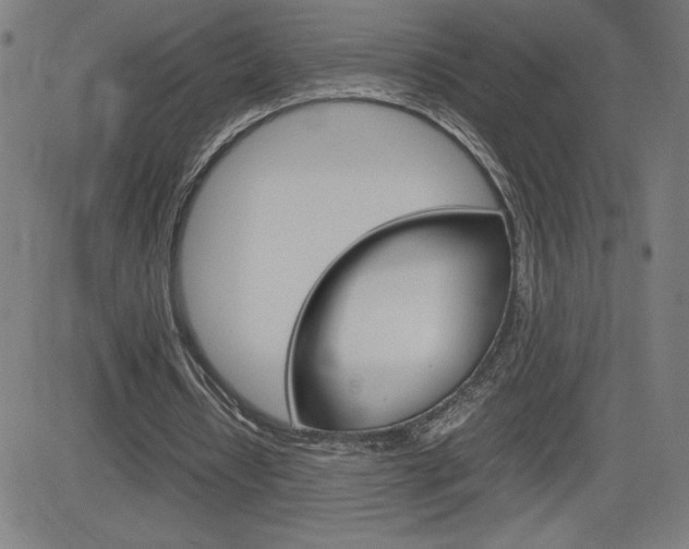 X0000083030434200702020921
