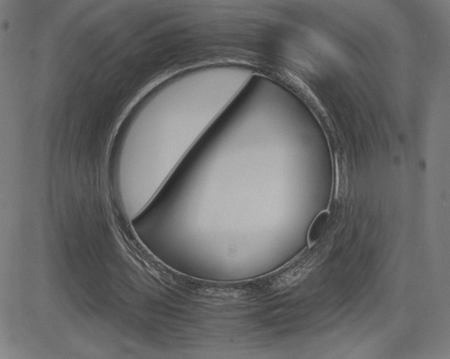 X0000083030435200702020921