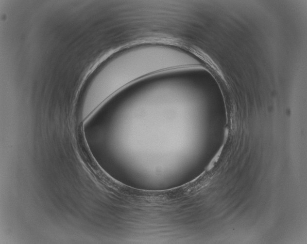 X0000083030436200702020921