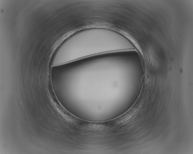X0000083030437200702020921