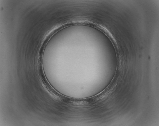 X0000083030439200702020922