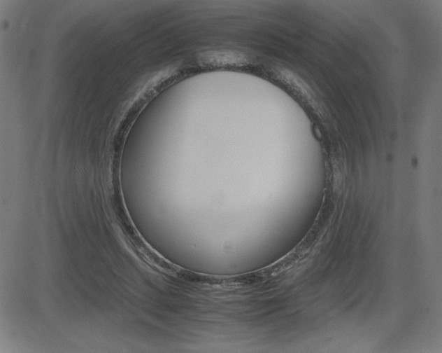 X0000083030447200702020922
