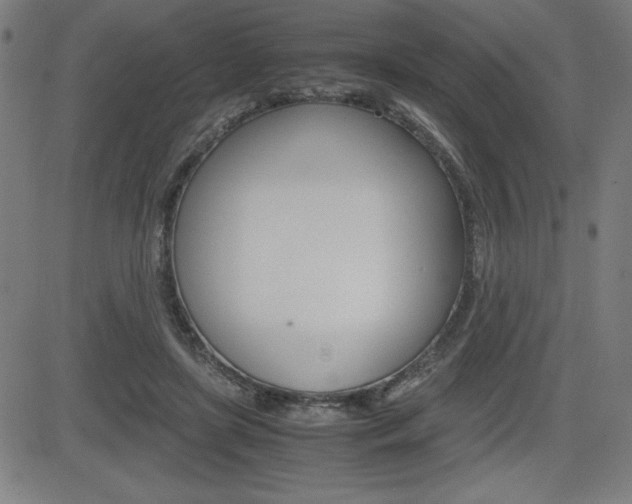 X0000083030451200702020922