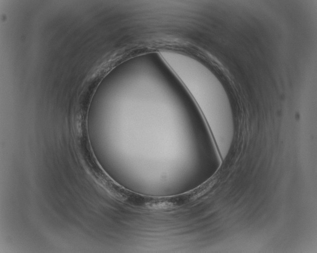 X0000083030452200702020922