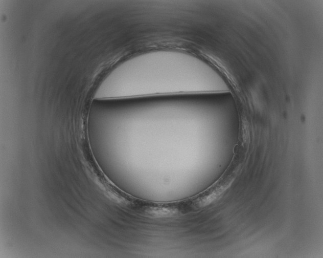 X0000083030453200702020922