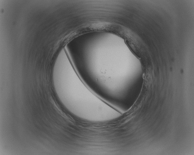 X0000083030454200702020922