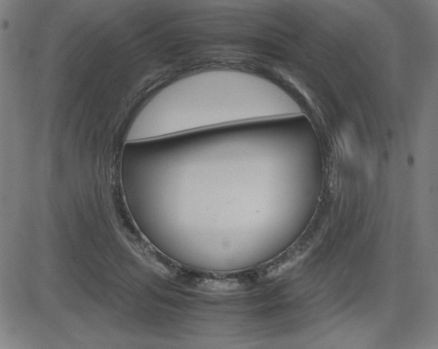 X0000083030455200702020922