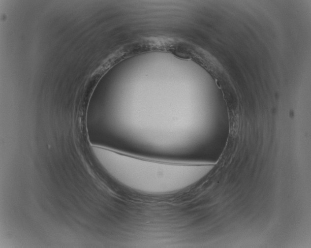 X0000083030456200702020922