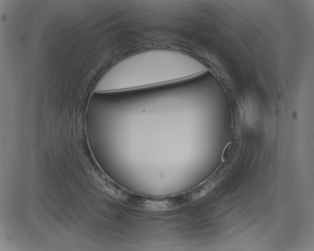X0000083030457200702020922