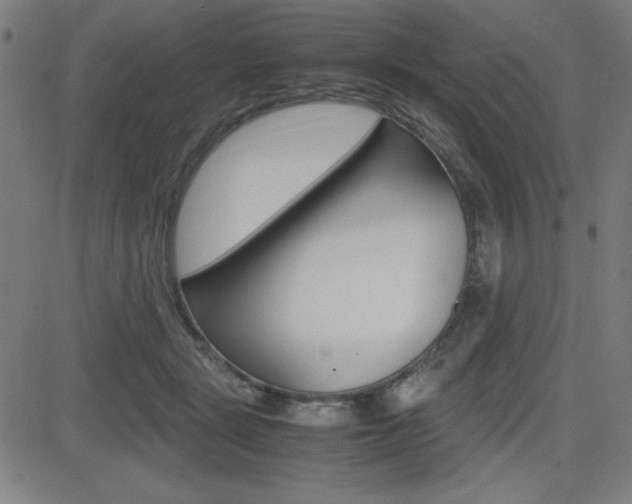 X0000083030461200702020922