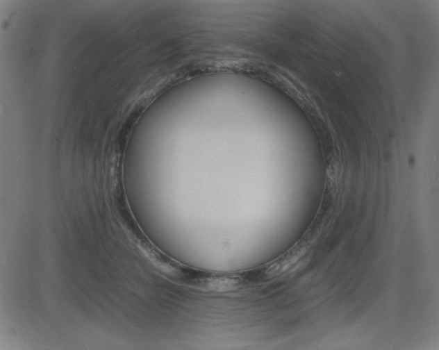 X0000083030462200702020922