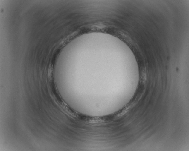 X0000083030468200702020922