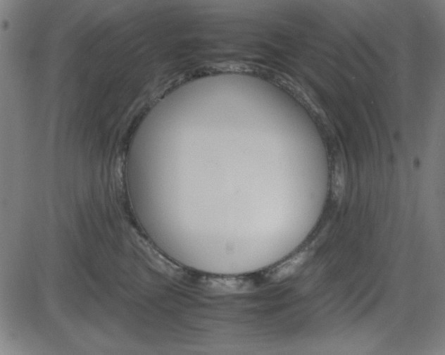 X0000083030473200702020922
