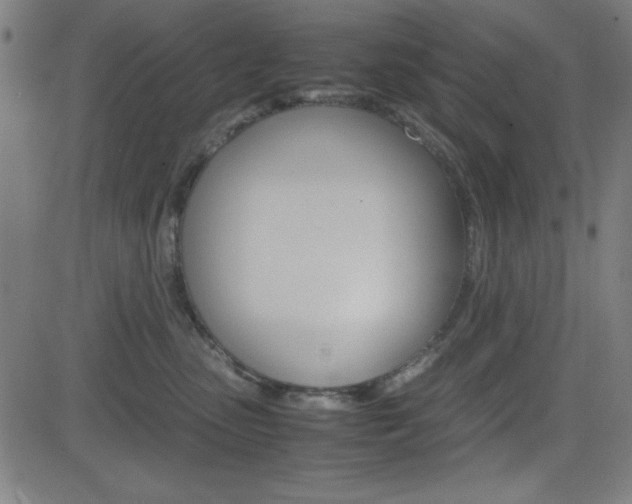 X0000083030475200702020922