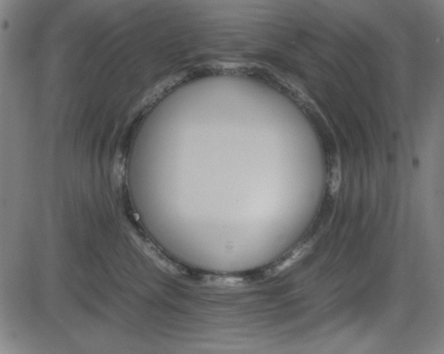 X0000083030476200702020922