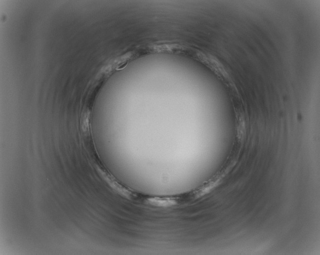 X0000083030477200702020922
