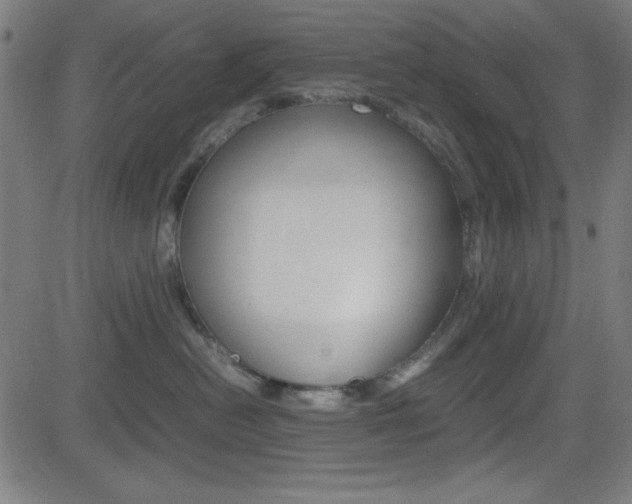X0000083030478200702020922