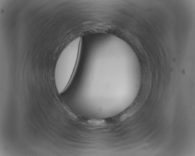 X0000083030480200702020922