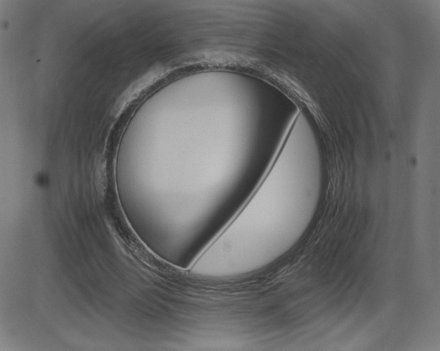 X0000083030488200702020921