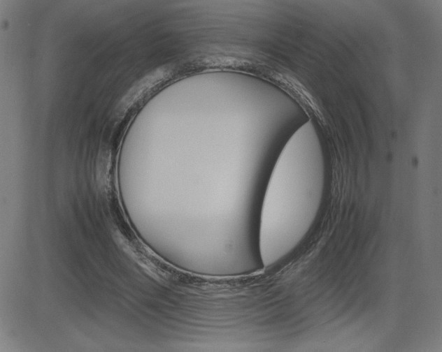 X0000083030490200702020921