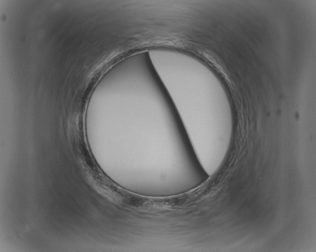 X0000083030491200702020921