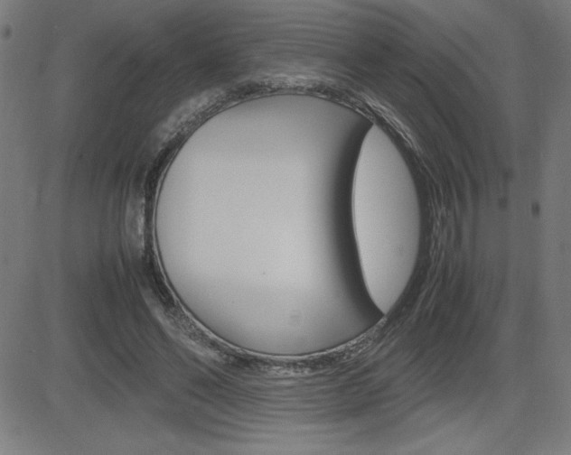 X0000083030494200702020921
