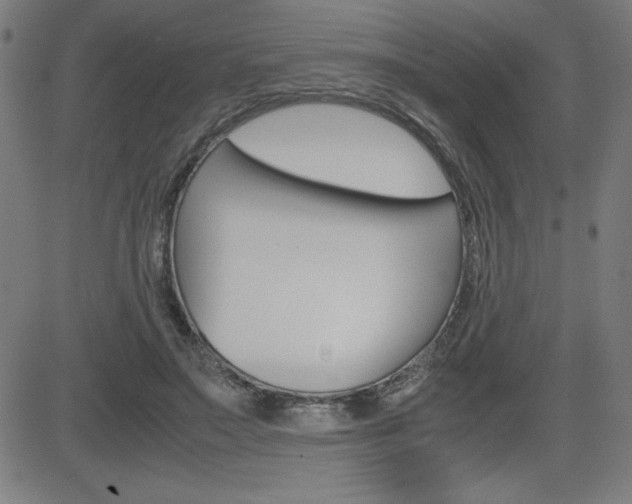 X0000083030499200702020921