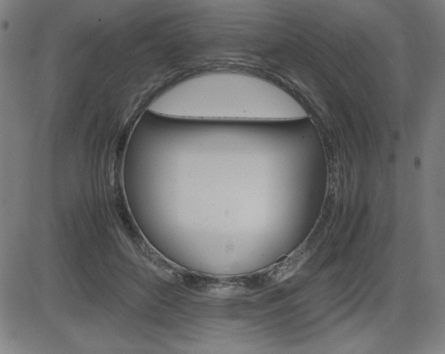 X0000083030504200702020921