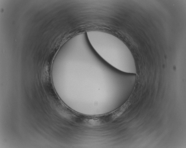 X0000083030506200702020921