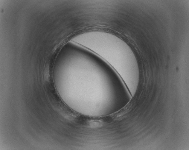 X0000083030508200702020921