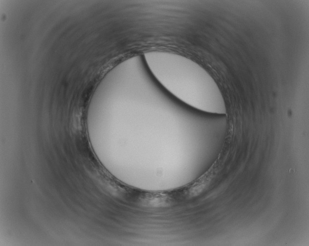 X0000083030514200702020921