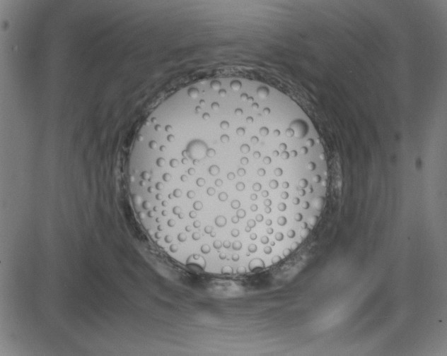 X0000083030519200702020921