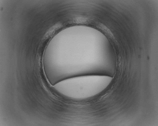 X0000083030542200702020920