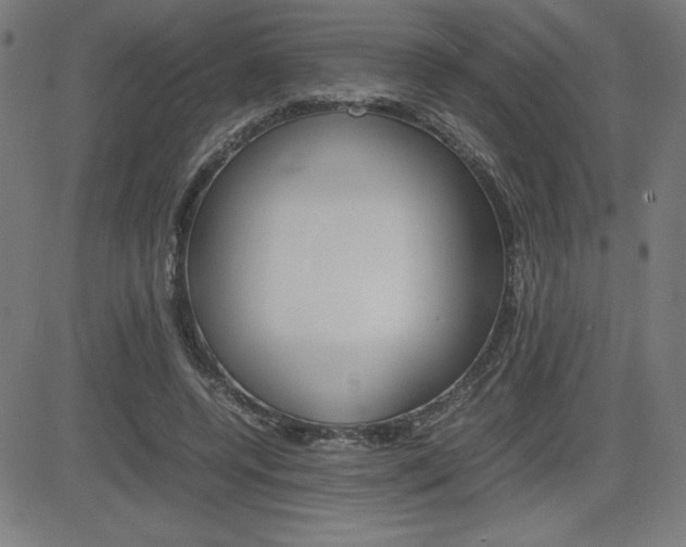 X0000083030544200702020920