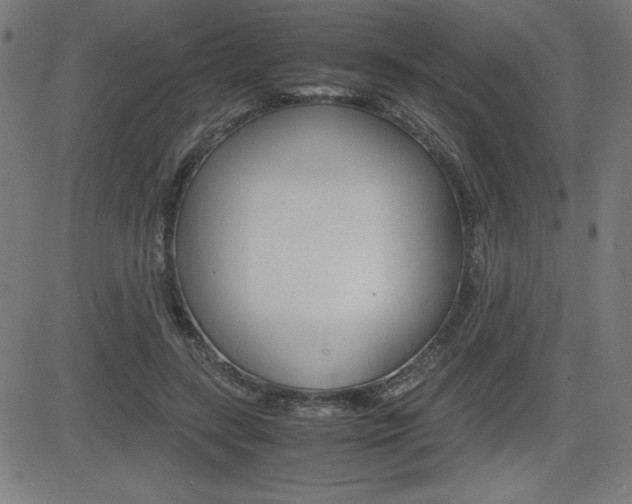 X0000083030547200702020920