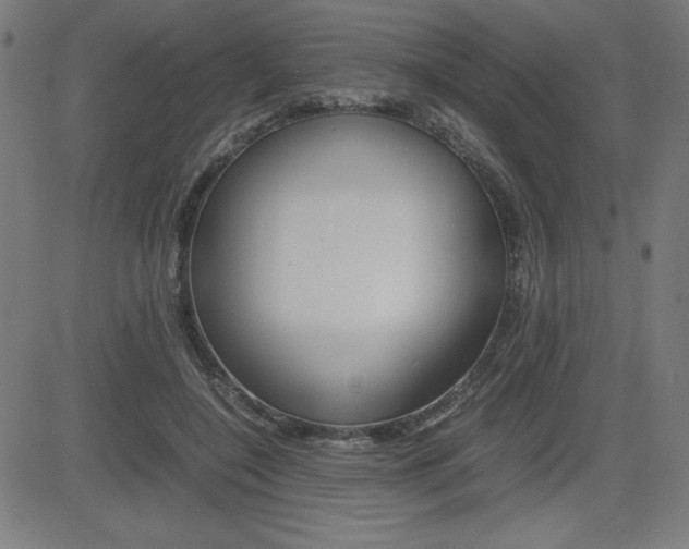 X0000083030548200702020920