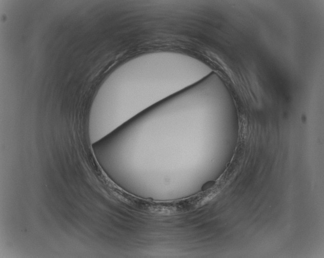 X0000083030549200702020920