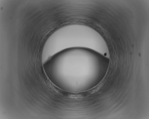 X0000083030556200702020920