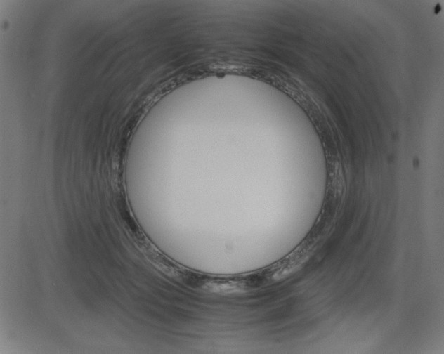 X0000083030557200702020920