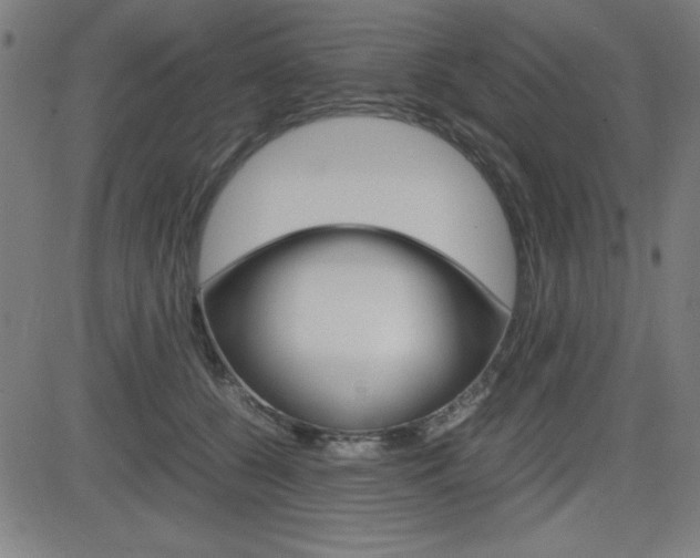 X0000083030560200702020920