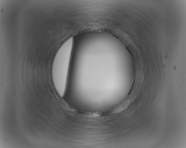X0000083030576200702020921