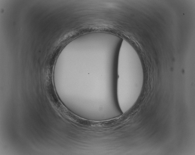 X0000083030591200702020920